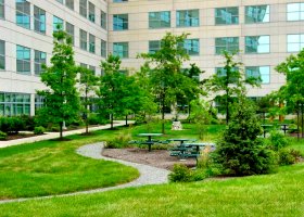 LVHN Outdoor Seating Plazas